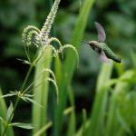 无码精品日韩专区久久 6w2xfhx2