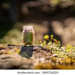 三级片在线免费看 9utx2x13