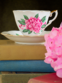 不准穿衣服腿不能合拢 不准穿衣服腿不能合拢