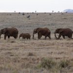 无翼乌全彩无漫画大全 la4g3fao2