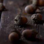 三极片黄色 w2aptze85o