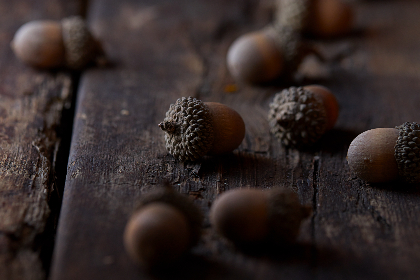 三极片黄色 三极片黄色