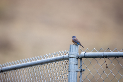 免费看剧的app:畅享无限影视资源,轻松追剧不花钱! 免费看剧的app:畅享无限影视资源,轻松追剧不花钱!