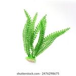 免费看动漫的网站下载:畅享无限动漫资源的最佳选择推荐 48f148